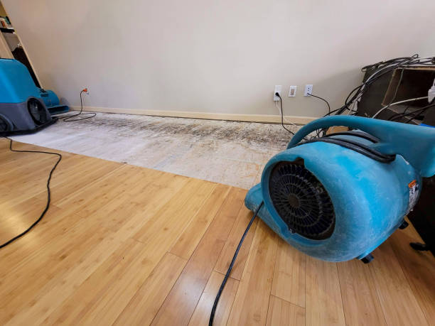 Professional Structural Drying technician working in Bryant, AL